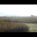 Morgenstimmung über dem Donautal